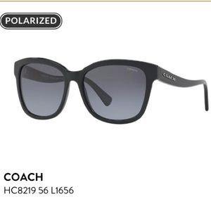 Coach Sunglasses HC8219 56 L1656